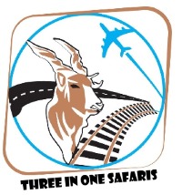 THREE IN ONE SAFARIS AND CAR HIRE